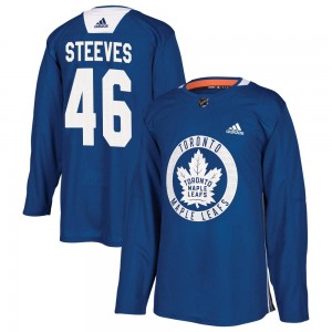 Adidas Alex Steeves Toronto Maple Leafs Men's Authentic Practice Jersey - Royal